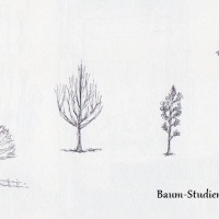 Über die Kunst, Bäume zu zeichnen